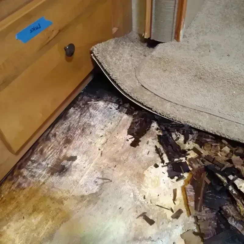 Wood Floor Water Damage in Tavares, FL